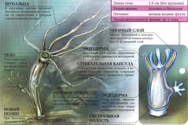 Ссылка на кракен onion kraken dark link