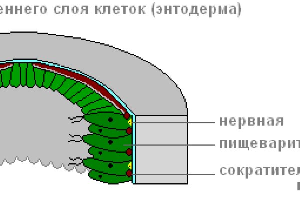 Кракен купить порошок