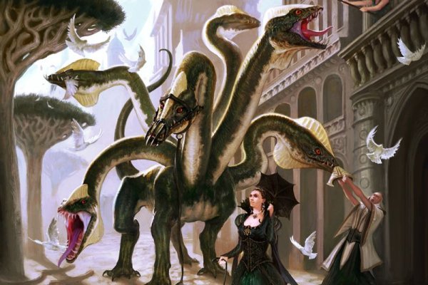 Kraken 5at