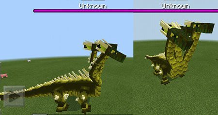 Kraken kraken link24 info