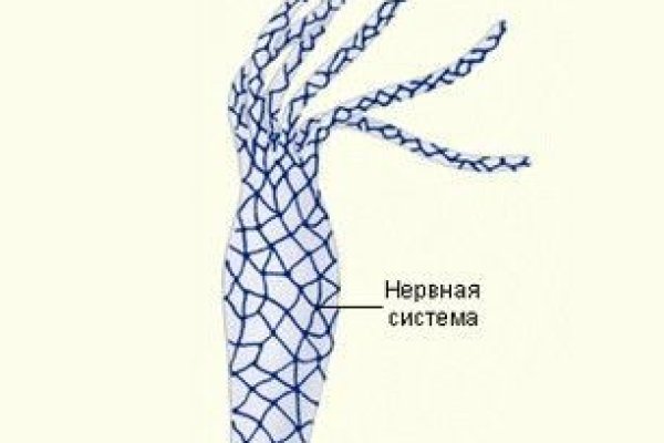 Купить счастье москва