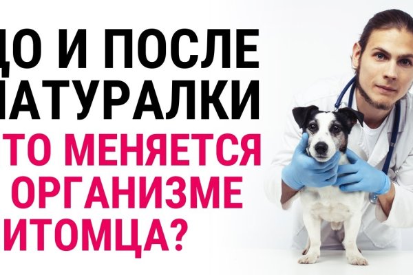 Новый адрес кракен