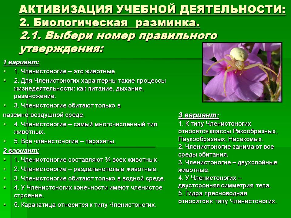 Магазин кракен дарк